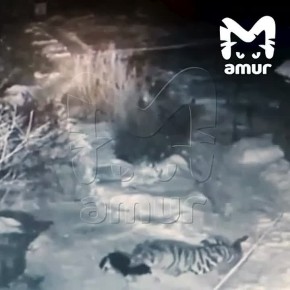 ������ ��������� ����� �� ������ ����� �� ������ ��� �����������