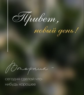 Доброе утро, Хабаровск!. 17 марта Температурный фон в течение дня в пределах от -8 до +1, ночью от -9 до -6°