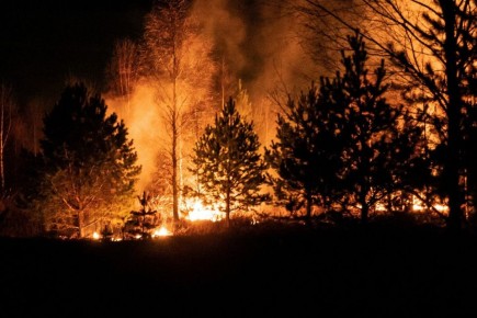 � ����������� ���� ����� ������ ���������� ������� �� ����� ��� �� � ������ � ����� 27 ������ �� ��������