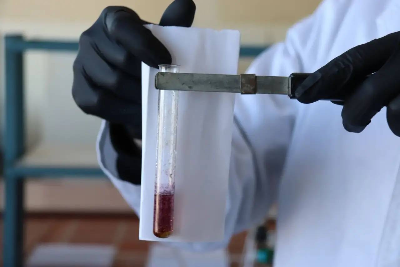 Дмитрий Демешин: Губернаторскую стипендию получили уже почти полторы сотни студентов – будущих педагогов Дмитрий Демешин: Губернаторскую стипендию получили уже почти полторы сотни студентов – будущих педагогов