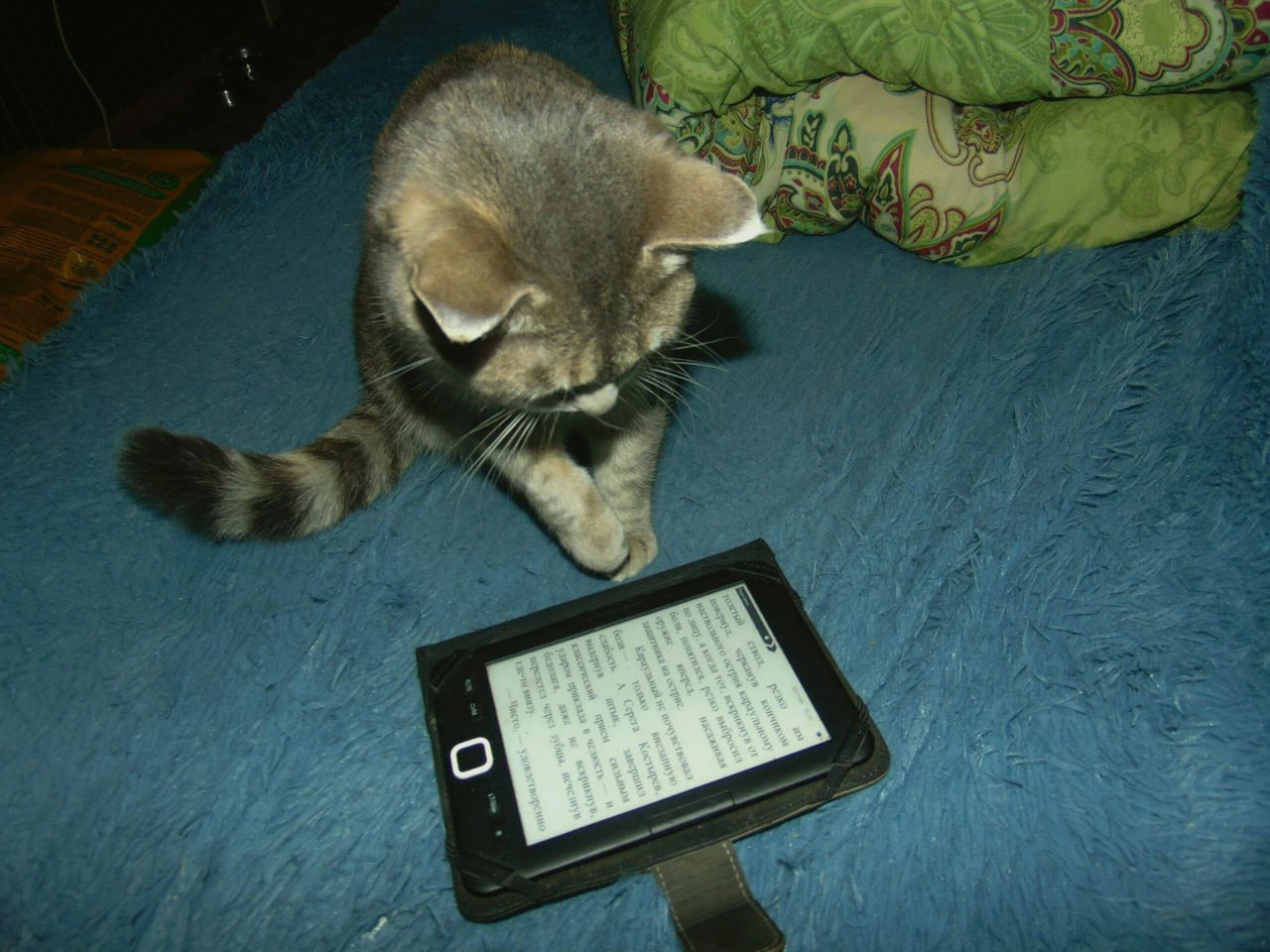 Погода в Хабаровском крае. Хабаровск