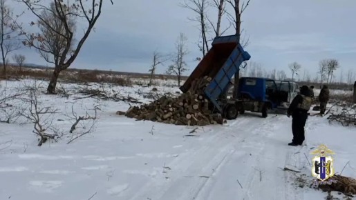 � ����������� ���� ������������ ���������� ��������� ���� � ���������� ����� ������ ���������� � ����� ������ ������ ����� 25 ��� ������