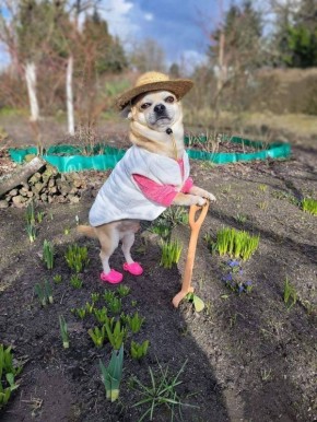 � � �������: �������� �� ����� ���� ����!�