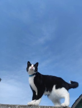 ������ � ����������� ����. ���������