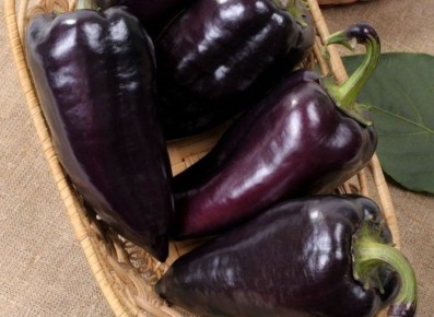 Перец черный сахар: яркое дополнение вашего огорода с отменным вкусом