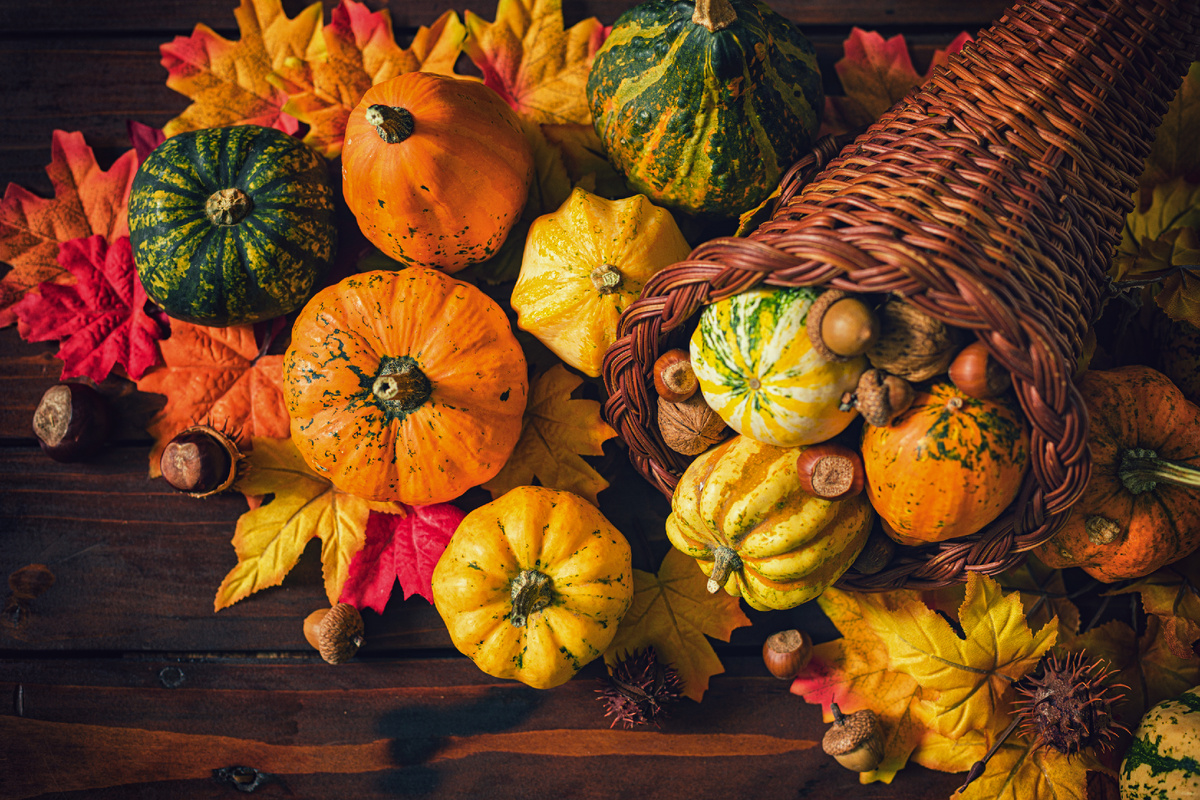 Тыква и ее преимущества для диабетиков