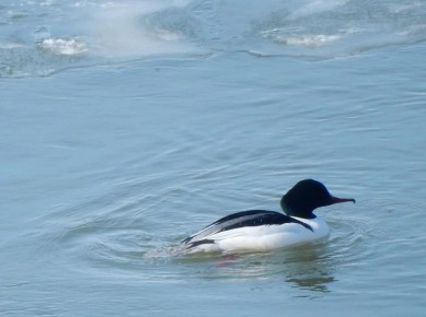 Погода в Хабаровском крае. Хабаровск