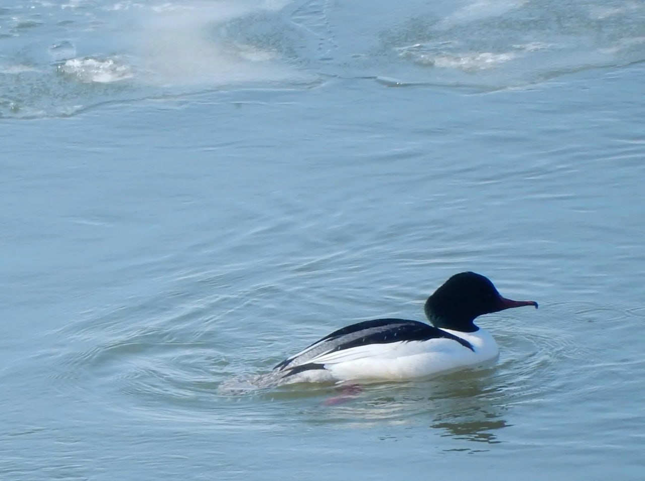 Погода в Хабаровском крае. Хабаровск