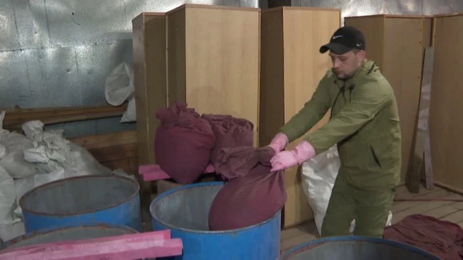 В Хабаровском крае подготовили к посадке целую тонну семян корейской сосны В Хабаровском крае подготовили к посадке целую тонну семян корейской сосны