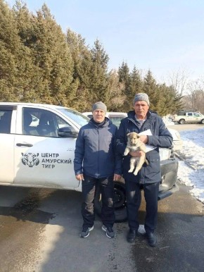 Щенка западносибирской лайки передали жителю Бикинского района