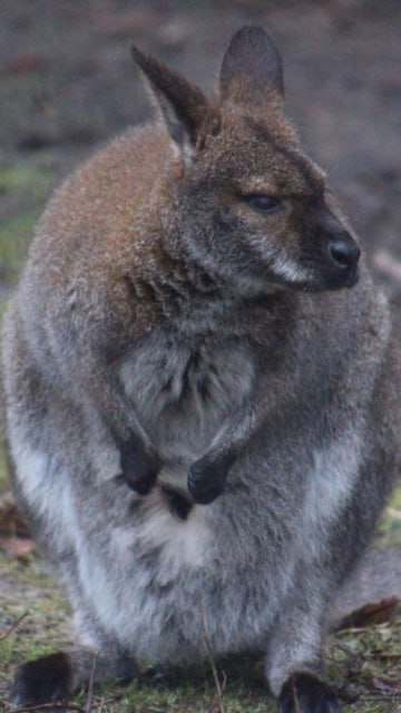Только проснулись? Или вы уже давно на ногах и успели устать? Только проснулись? Или вы уже давно на ногах и успели устать?
