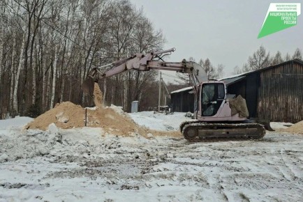 В Хабаровском крае подготовили к посадке целую тонну семян корейской сосны