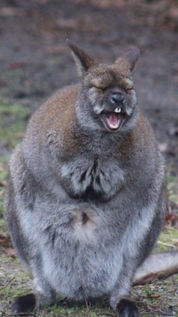 Только проснулись? Или вы уже давно на ногах и успели устать?