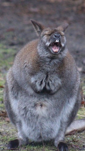 Только проснулись? Или вы уже давно на ногах и успели устать? Только проснулись? Или вы уже давно на ногах и успели устать?