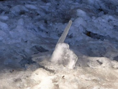 ������ � ����������� ����. ���������