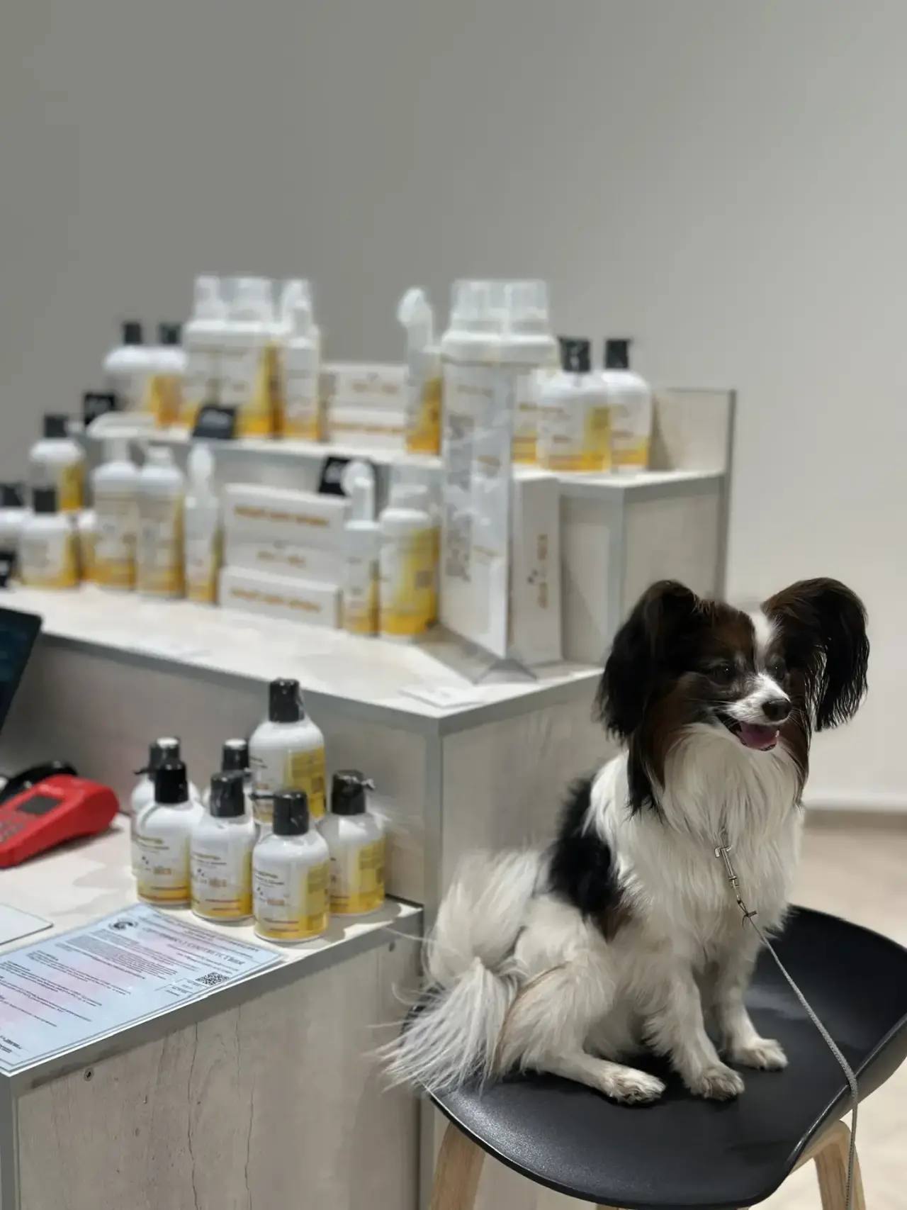 Дмитрий Демешин: Кадры прошлой «Прямой линии» Дмитрий Демешин: Кадры прошлой «Прямой линии»