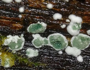 ����������: ��� ������ ������� �� ������ ����� � ������� ��������