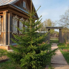 ��� ������� ����� �������� ������ ����: �������� ���������� ��������