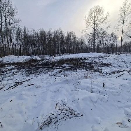В Солнечном округе сотрудники полиции задержали подозреваемого в незаконной рубке лесных насаждений с суммой ущерба более 600 тысяч рублей В Солнечном округе сотрудники полиции задержали подозреваемого в незаконной рубке лесных насаждений с суммой ущерба более 600 тысяч рублей