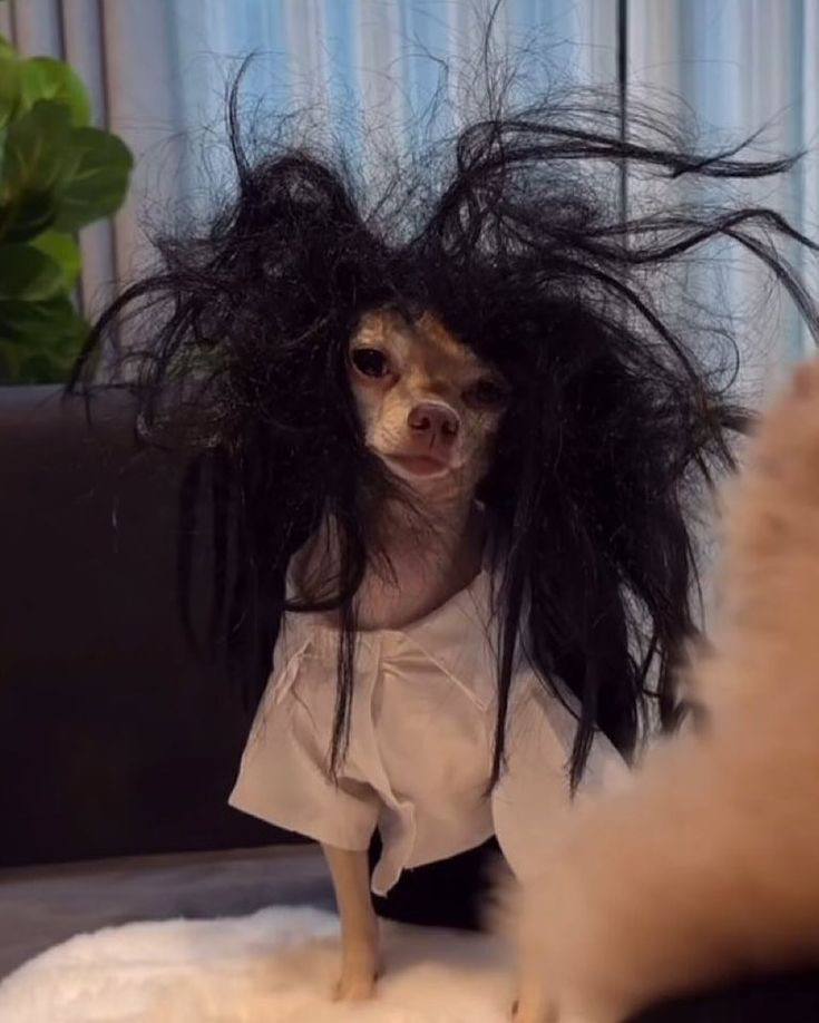 Как выглядят твои коллеги на планерке в понедельник: Как выглядят твои коллеги на планерке в понедельник: