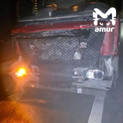 Фура сбила стадо коров по пути из Хабаровска в Приморье