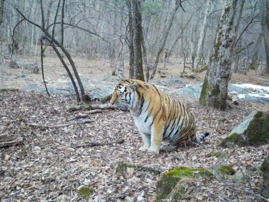 �������� ���� � �������� ������ ��������