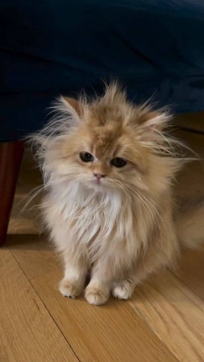 Как выглядят твои коллеги на планерке в понедельник: