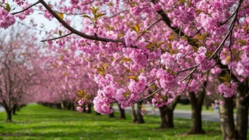 «Весеннего обострения психики» не существует
