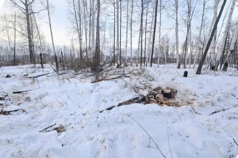 В Солнечном округе сотрудники полиции задержали подозреваемого в незаконной рубке лесных насаждений с суммой ущерба более 600 тысяч рублей В Солнечном округе сотрудники полиции задержали подозреваемого в незаконной рубке лесных насаждений с суммой ущерба более 600 тысяч рублей
