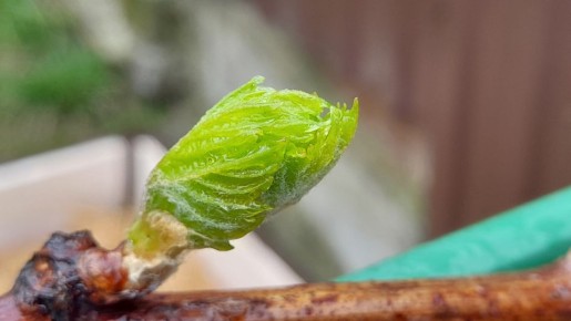 ��� ��������� ��������� ������� ���������: ��������� ����������� ��� ��������� ��������