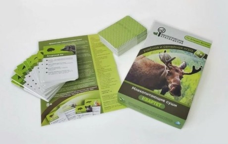 ���������� ���� � ������ ������������ ���� �������� ������������� ����������