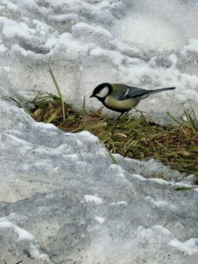 Погода в Хабаровском крае. Хабаровск