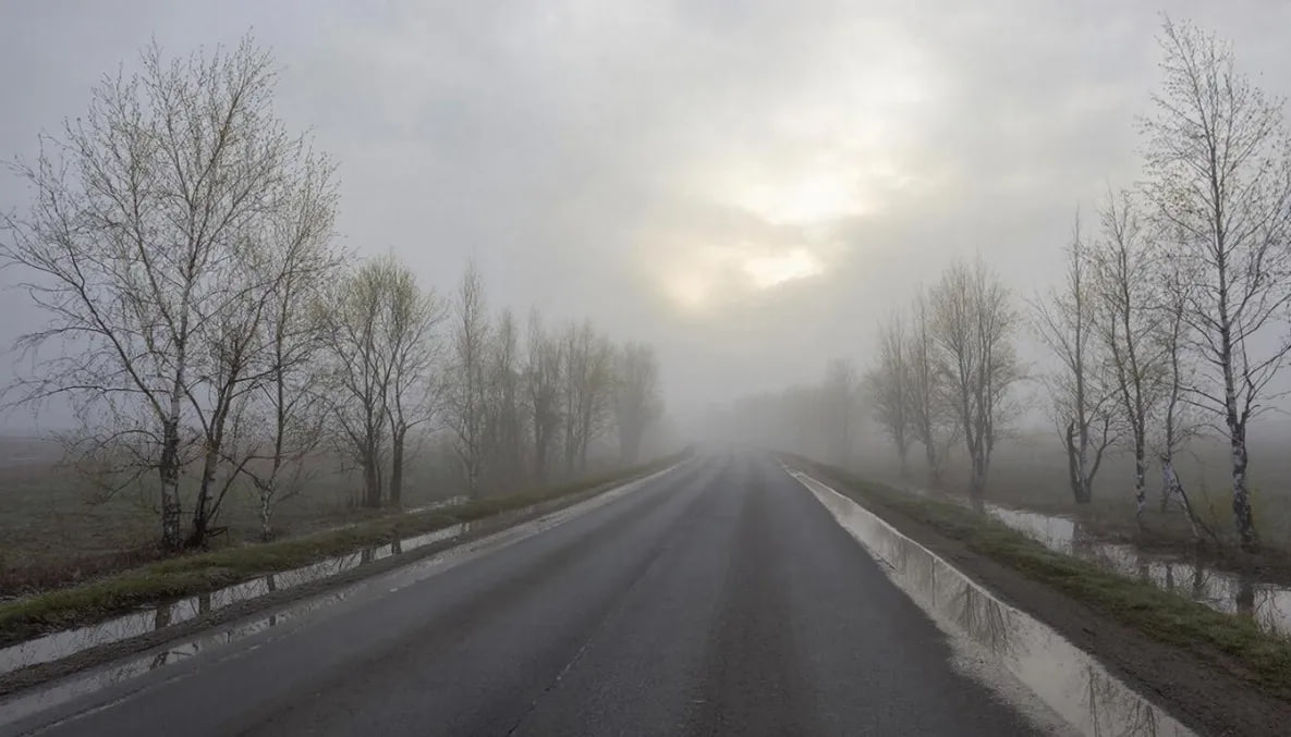 Движение по трассе «Уссури» в Хабаровском крае ограничили из-за тумана
