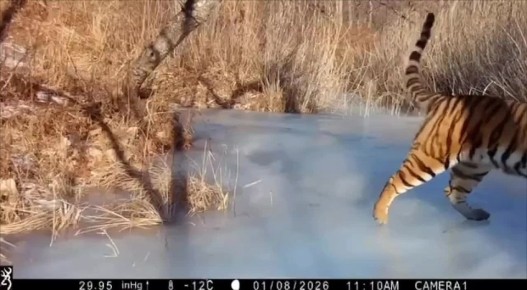 ��� ��������������� ���� ������?