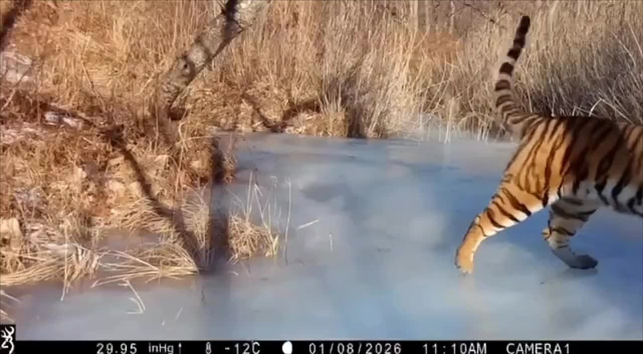 Уже поскальзывались этой весной?