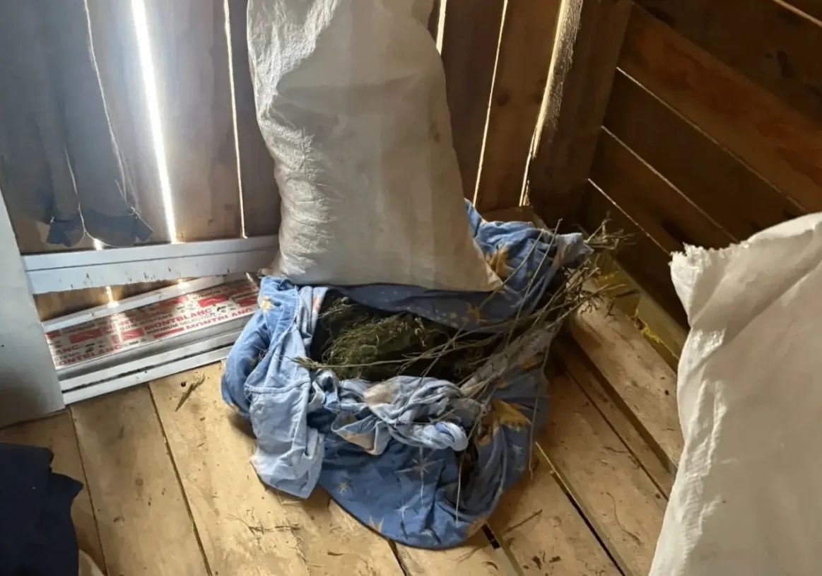 В Нанайском районе сотрудники полиции изъяли у местного жителя более 900 граммов марихуаны В Нанайском районе сотрудники полиции изъяли у местного жителя более 900 граммов марихуаны