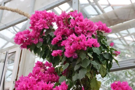 � ���������� �� ��������� ������ ������� ���� ������� �� ����� ������������ �����������