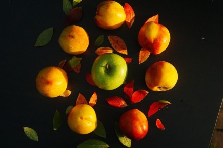 Как защитить деревья от трещин: секретный рецепт чудо-зелья