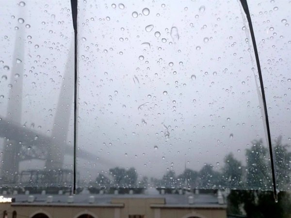 В начале недели Приморье ожидается дождь