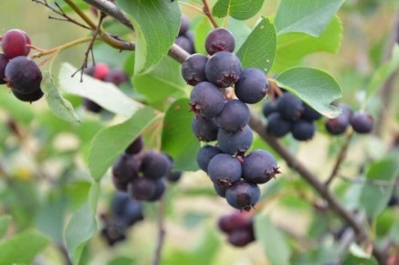 ����: ������� �������� ������� � ����� �� ������� ���������