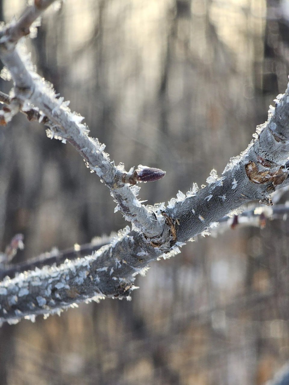 Погода в Хабаровском крае. Хабаровск