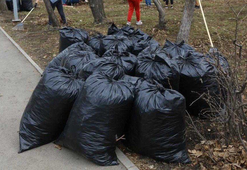 Даты общегородских субботников назначили в Хабаровске