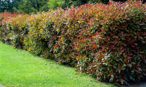 ���������� ��� �������� ������� ���� �� ������� ����