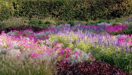 Как создать ароматный сад для поднятия настроения