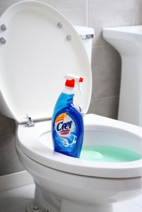 Как правильно выбрать и использовать средства для дезинфекции санузлов