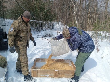 ��� � ����������� ���� ������� ������ �� ������ � ���������� � ������