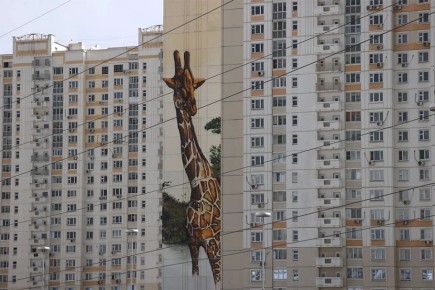 ������ ������ �����������: ��� ������������ ������� ����� ���, ��� ��� �����