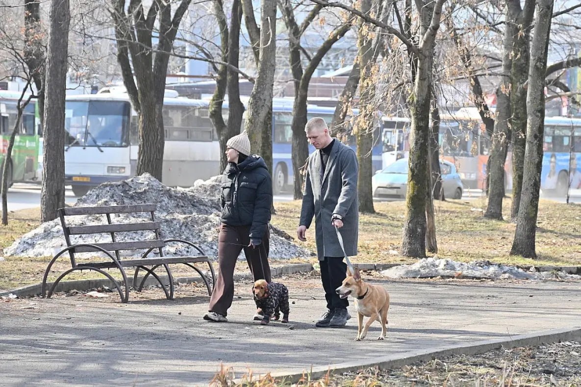 Стокилограммовые антивандальные скамейки установят в Хабаровске