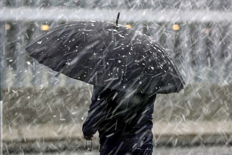 �� ����������� ���� ����������� ������