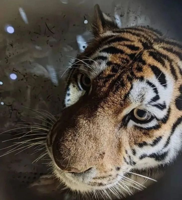 ����� �������� ������ �������� ��������� ���� � ���� ����